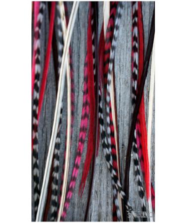 Grizzly Extensions: 5 Single Natural & Red Feather Extensions - Shop Internationally! - Buy Online on GoSupps.com