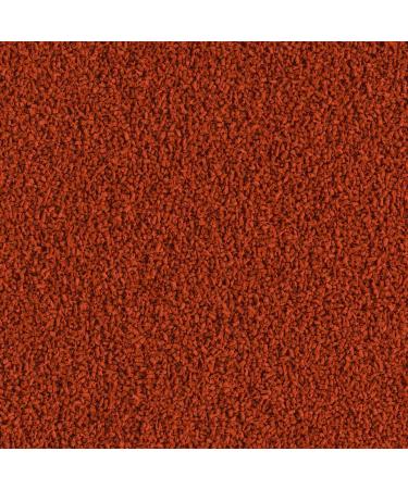 Tetra Discus Granules - Premium Fish Feed for Healthy Vibrant Discus - 250ml Can (1 Pack) - Buy Online on GoSupps.com