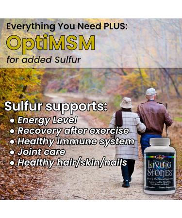 Living Stones Complete Mineral Supplement with Zinc Calcium Magnesium Selenium Trace Minerals No Added Iron with MSM (Organic Sulfur) and Shilajit Premium Absorption (30-Day Supply - 180 Caps) - Buy Online on GoSupps.com