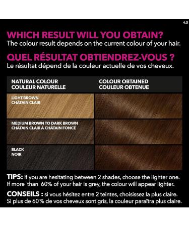 Garnier Olia Permanent Hair Dye Ammonia-Free Hair Color 4.3 Golden Dark Brown 100% Grey Coverage Long-Lasting Hair Shine With 60% Oils 1 Application BROWN SHADES 4.3 Golden Dark Brown - Buy Online on GoSupps.com