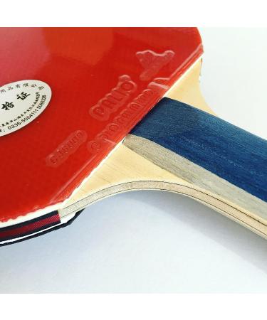 Palio Master 2.0 Table Tennis Racket & Case - ITTF Approved - Flared Handle for Intermediate Players - Buy Online on GoSupps.com