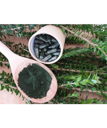 Food supplement-Immune defenses-Microbiote- Acerola- Vitamins- Spirulina Bio Ecocert 19% Phycocyanin- Spiru D fenses Bio Eco of 210 vegetable capsules Made in France Spirunutri - Buy Online on GoSupps.com