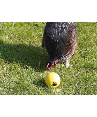 Savic Chicken Fun 7.5 cm Yellow - Buy Online on GoSupps.com