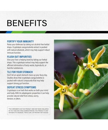 MAUWE HERBS Cryptolepis Sanguinolenta Liquid Drops - Respiratory Support Tincture 4 Fl. Oz - Buy Online on GoSupps.com