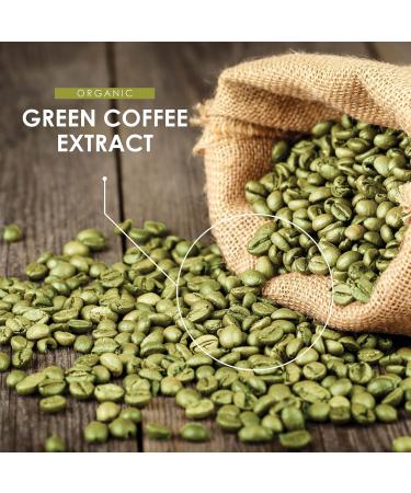 Organic Green Coffee Bean Extract 13500mg - Chlorogenic Acid Rich Coffea Arabica - 90 Vegan Capsules - Non-GMO & Additive-Free - Buy Online on GoSupps.com