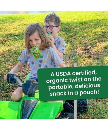 GoGo squeeZ Organic Apple Strawberry Pouches - 48 Gluten-Free Vegan Snacks for Kids - Buy Online on GoSupps.com