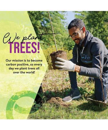 Ecoslurps 200 Bamboo Cotton Buds | Biodegradable & Compostable | Eco-Friendly Plastic-Free Swabs with Tree Planting Effort - Buy Online on GoSupps.com