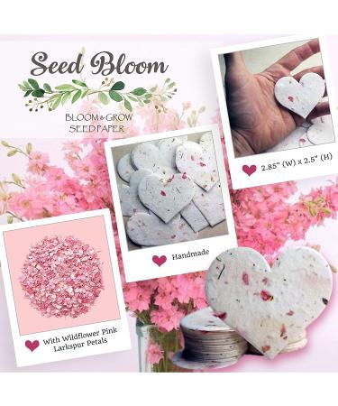 Seed Bloom 24-Piece Handmade Wildflower Seed Paper Gift Set | Recycled Seeded Paper Tags & Cards | Stationery & Gift Wrap Supplies with Hearts Envelope & Planting Guide - Buy Online on GoSupps.com