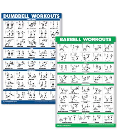 Quickfit dumbbell training and barbell practice poster set (in English)-laminated 2-part diagram set laminated 18 "X 27" - Buy Online on GoSupps.com