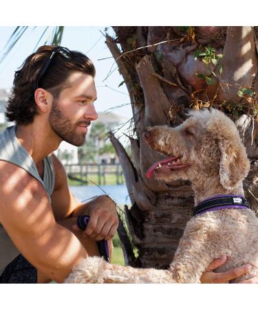 Black Rhino Comfort Collar - Ultrasoft Neoprene Padded Adjustable Dog Collar for All Breeds - Large Reflective Weatherproof - Purple/Blue & Purple/Black - Buy Online on GoSupps.com