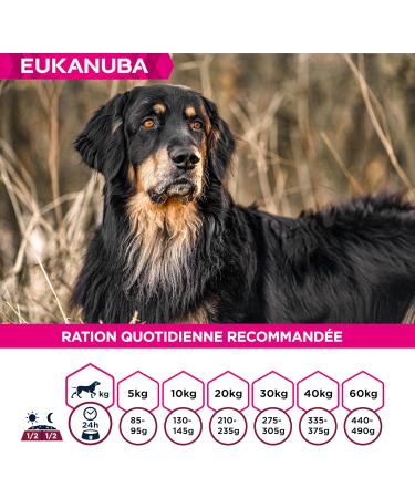 Eukanuba Daily Care - Mono-protein Salmon Dry Food for Adult Dogs - Rich in Fresh Frozen Salmon 2.3 kg - Buy Online on GoSupps.com