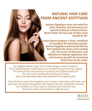 100% Pure Egyptian Black Castor Oil - Shea Terra Organics | All-Natural Hair Growth & Scalp Conditioner 8 oz - Buy Online on GoSupps.com