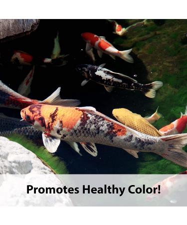 Kaytee Koi's Choice 10 lb Floating Fish Food for Koi - Pack of 1 - Buy Online on GoSupps.com