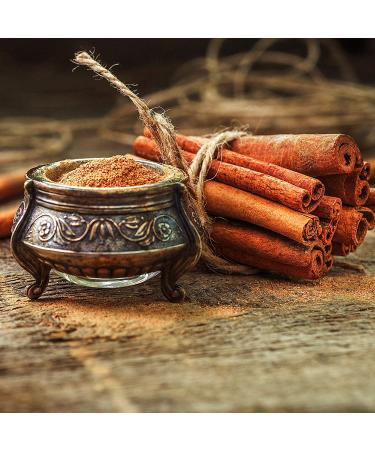 The Spice Lab Organic Cinnamon Powder - 1.6 oz French Jar | Gluten-Free & Non-GMO Cassia Cinnamon for Baking, Coffee & Meat Dishes - Buy Online on GoSupps.com