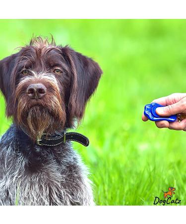 Puppy Clicker for Obedience Training | Perfect for Pets Puppies Cats & Dogs | Dark Green - International Shipping - Buy Online on GoSupps.com