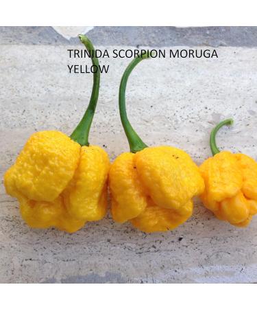 Pepper seeds 10 different varieties -- 100 seeds - Buy Online on GoSupps.com