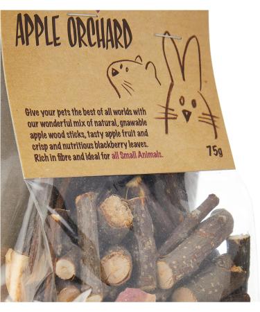 Rosewood Naturals Apple Orchard Rabbit & Small Animal Treats 75g - Buy Online on GoSupps.com