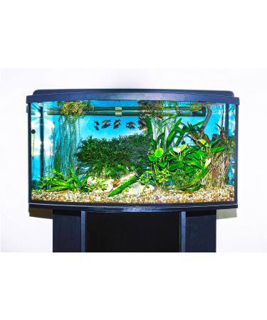 Mag-Float Glass Aquarium Cleaner Small - Buy Online on GoSupps.com