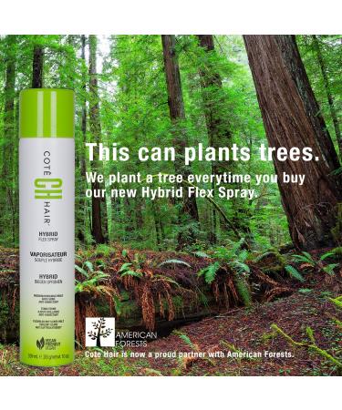 Hybrid Flex Spray - Workable Aerosol Hair Spray - Buy Online on GoSupps.com