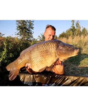 Tandem Baits Carp Food Attract Activator Carp Bait Carp Fishing Pop-Ups Boilie Carp Professional Carp Fishing Accessorie - Buy Online on GoSupps.com