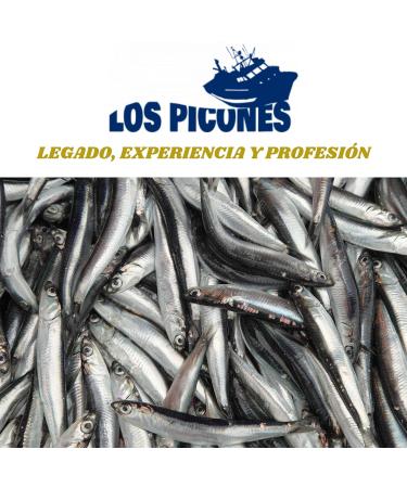 Los Picones Gourmet Anchovies Whole Snacks in Cantabrian Brine XL. Tambourine of 200 g/10 Extra Large Snacks (20 Loins of Anchovy) Gourmet Preserves with Bocartes Grandes. Santo a - Buy Online on GoSupps.com