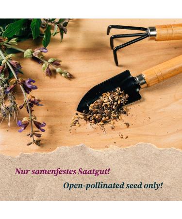  Magic Garden Seeds Thai chili pepper Prik Kee Noo Capsicum frutescens approx 10 seeds - Buy Online on GoSupps.com