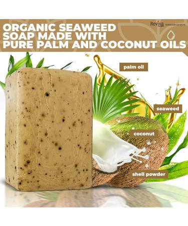 Reviva Seaweed Soap 2 Pack - Organic Seaweed Face & Body Scrub Bar - Natural 4.5 oz. Vegetable Base Soap - Made in the USA - Buy Online on GoSupps.com