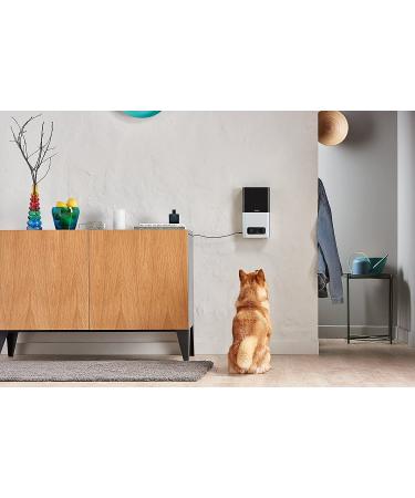 2017 Item  Petcube Bites Pet Camera with Treat Dispenser Matte Silver - Buy Online on GoSupps.com
