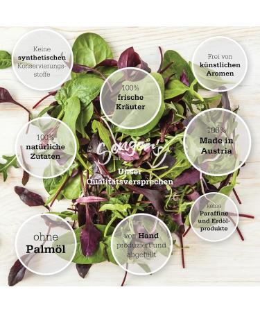  Senger's Premium Bear Oil Fresh Bear Oil Cold Pressed Olive Oil Extra from Steiermark - Buy Online on GoSupps.com