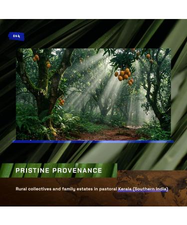 ETHERVA Mango Butter | Naturally Refined | Firm Texture | Unscented Vegan Cold Pressed | Bulk DIY Soap Making | Thickener for Skin Body & Hair | 45 oz - Buy Online on GoSupps.com