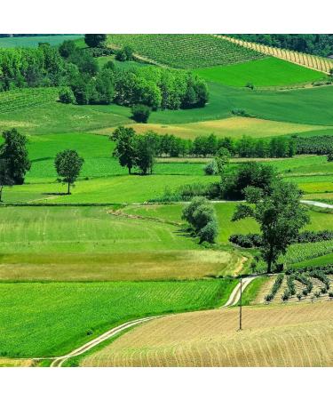  Kaukau Sweet truffles with amaretti truffle chocolates with pieces of Amarettini cookies from Antica Torroneria Piemontese Italian truffle chocolates 1 kg - Buy Online on GoSupps.com