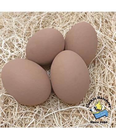 Cackle Hatchery Ceramic Nest Eggs - Set of 4 Brown - Dummy Eggs for Chicken Coop - Buy Online on GoSupps.com