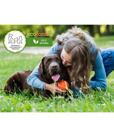 Buy Cultivers Plant Amino Acid Fertilizer 5L - Boost Indoor & Outdoor Plant Growth | Force Amin Eco - Buy Online on GoSupps.com