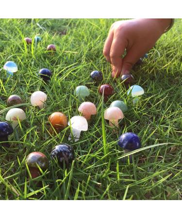 15 Pcs Hand Carved Crystal Mushroom Sculptures - Assorted Gemstone Decor Stones - Buy Online on GoSupps.com