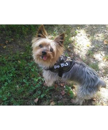 2 custom labels for julius k9 harnesses 12 x 3cm - Buy Online on GoSupps.com