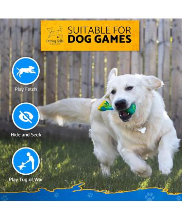 Extra Strong Indestructible Dog Toys for Large Dogs - Bacon Flavoured Chew Toy for Extreme Chewers and Puppies - Buy Online on GoSupps.com