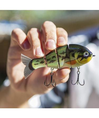 Catch Co Mike Bucca's Baby Bull Gill Swimbait 3.75 3/4 oz in Ruby Gill Color - Buy Online on GoSupps.com