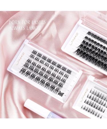 LANKIZ Cluster Lashes - DIY Featherlight Reusable Synthetic Eyelash Extensions - Honey C Curl 10-16mm - Buy Online on GoSupps.com