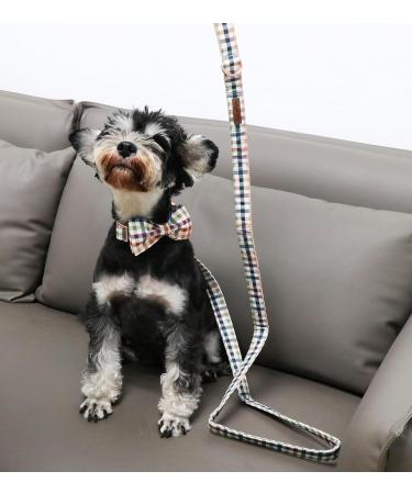 Shop Unique Style Paws Carded Dog Hales Band - Durable Cotton Dog Training Line for All Dog Sizes - Buy Online on GoSupps.com