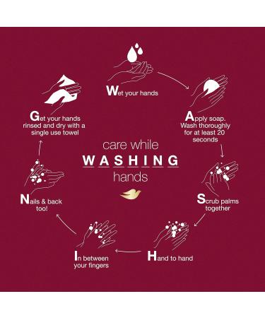 Dove Rejuvenating Pomegranate and Hibiscus Tea Body Wash 22 Fl Oz - Pack of 4 - Buy Online on GoSupps.com