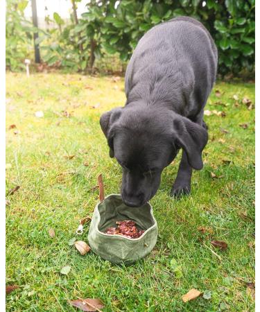 Buust Travel Dog Bowl - Foldable Waxed Fabric Water Bowl in Green - 1L Capacity for On-the-Go Dogs - Buy Online on GoSupps.com