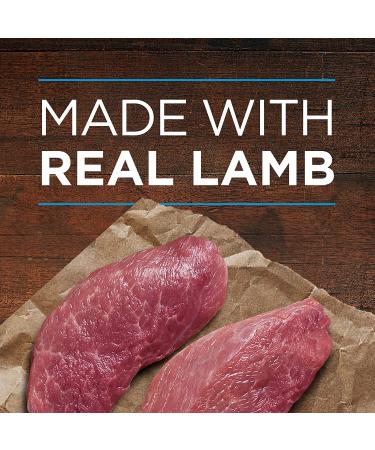 Purina ONE SmartBlend Natural Lamb & Rice Puppy Wet Food - 12 Pack (13 oz. Cans) - Buy Online on GoSupps.com