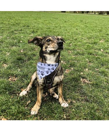 Dog Scarf with Name - printplanet Personalized Paw Pattern Scarf for Dogs - Size S - Buy Online on GoSupps.com