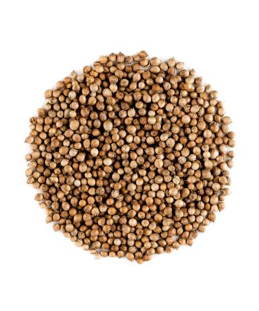 Coriander Seed Organic Gourmet Quality - Cilantro Seeds For Elevating Dishes - Organic Cilantro Corriander Corrriander Corrinder Corriandar Corrander Corrinader Corriandor Corrinander Corriender 100g 3.53 Ounce - Buy Online on GoSupps.com