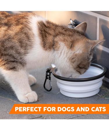 PUG Portable Foldable Pet Bowl with Carabiner - Lightweight & Unique Travel Drinking Bowl for Dogs & Cats - Buy Online on GoSupps.com