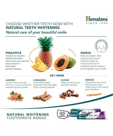 Himalaya Herbals Stain-Away Toothpaste | Enamel Protection & Stain Removal | Multi-Action Mint Formula | Pack of 3 (75ml) - Shop Now for International Shipping - Buy Online on GoSupps.com