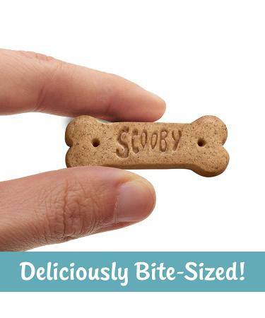 Kellogg's Scooby-Doo! Cinnamon Graham Cracker Snacks - Whole Grain | 1 oz Bag (40 Bags) - Buy Online on GoSupps.com