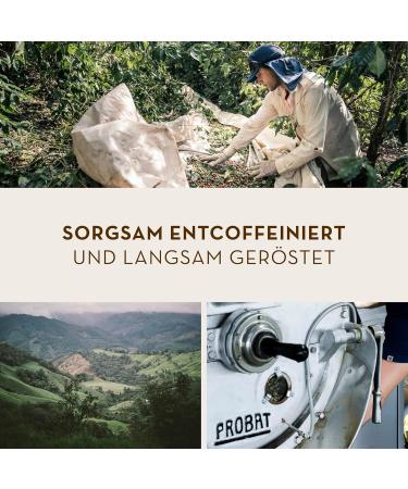 J. Hornig DESCOFFeined Coffee Ground - Decaffeinated 12x500g | Mild Taste for Filter French Press & Espresso - Buy Online on GoSupps.com
