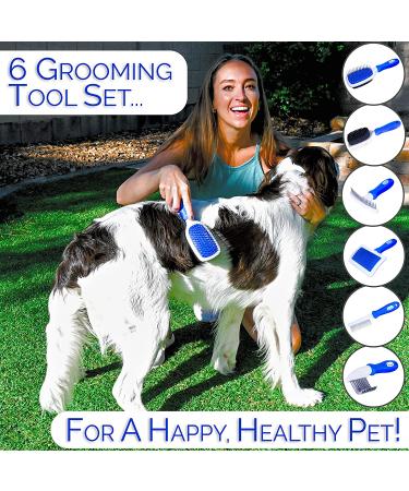 Horicon Pet 6 In 1 Dog Brush Set - Premium Grooming Brushes with Ball Pin, Bristle, Dematting, Slicker, Deshedding, and Detangling Combs - Buy Online on GoSupps.com