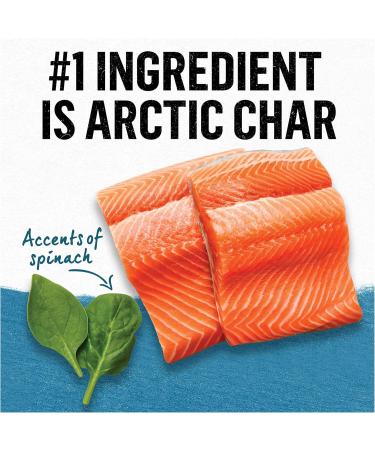 Beyond Wet Cat Food Trout & Catfish Pate - 85 g Can (12 Pack) & Wet Cat Food Arctic Char & Spinach Pate - 85 g Can (12 Pack) Pate + Char & Spinach Pate - Buy Online on GoSupps.com